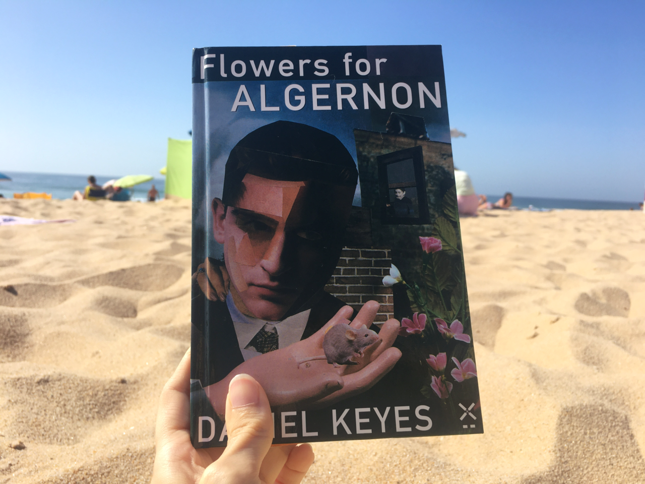 flowers-algernon-mar-maio.png