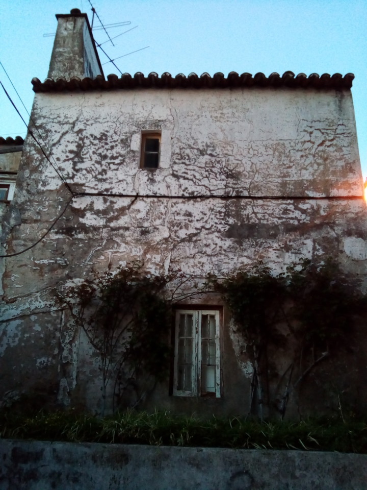 IMG_20190323_185204.jpg IMG_20190323_185204.jpg