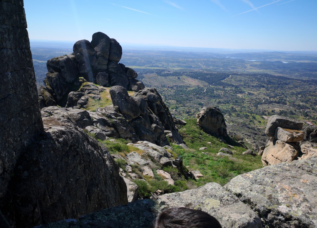 IMG_20190320_083217.jpg IMG_20190320_083217.jpg