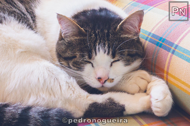 Mai_2021_028 650px.jpg