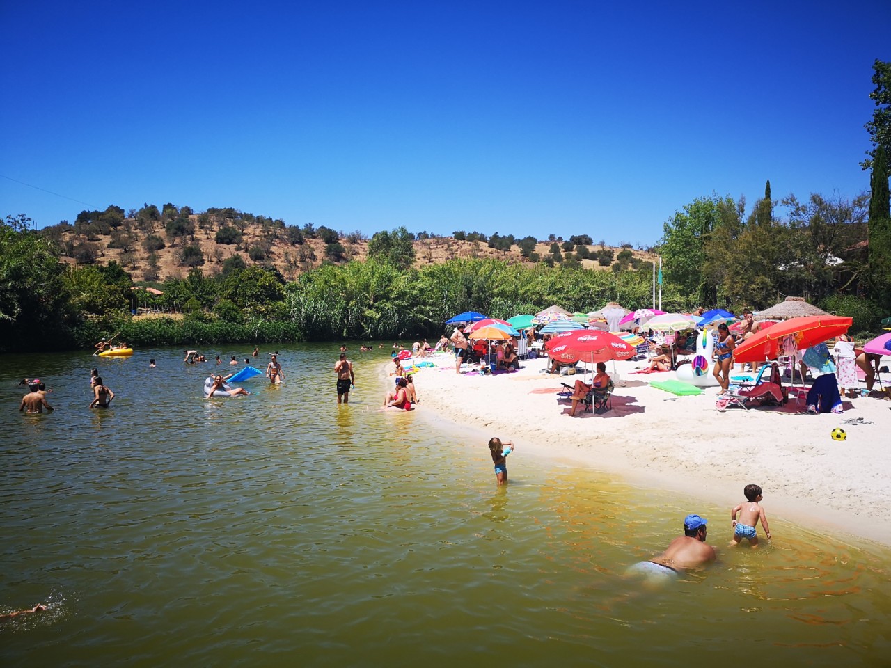 IMG_20190804_125553.jpg IMG_20190804_125553.jpg