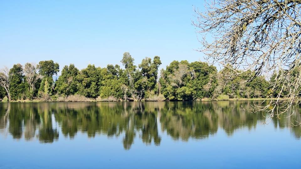 28276754_1863339670343793_7077812118414972703_n.jp