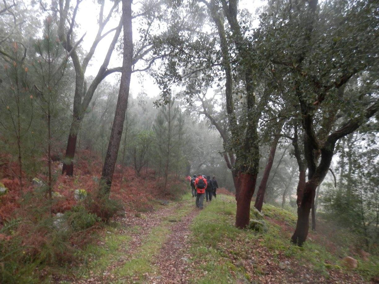 12440614_1147736511904605_7601748572044615963_o.jp 12440614_1147736511904605_7601748572044615963_o.jp