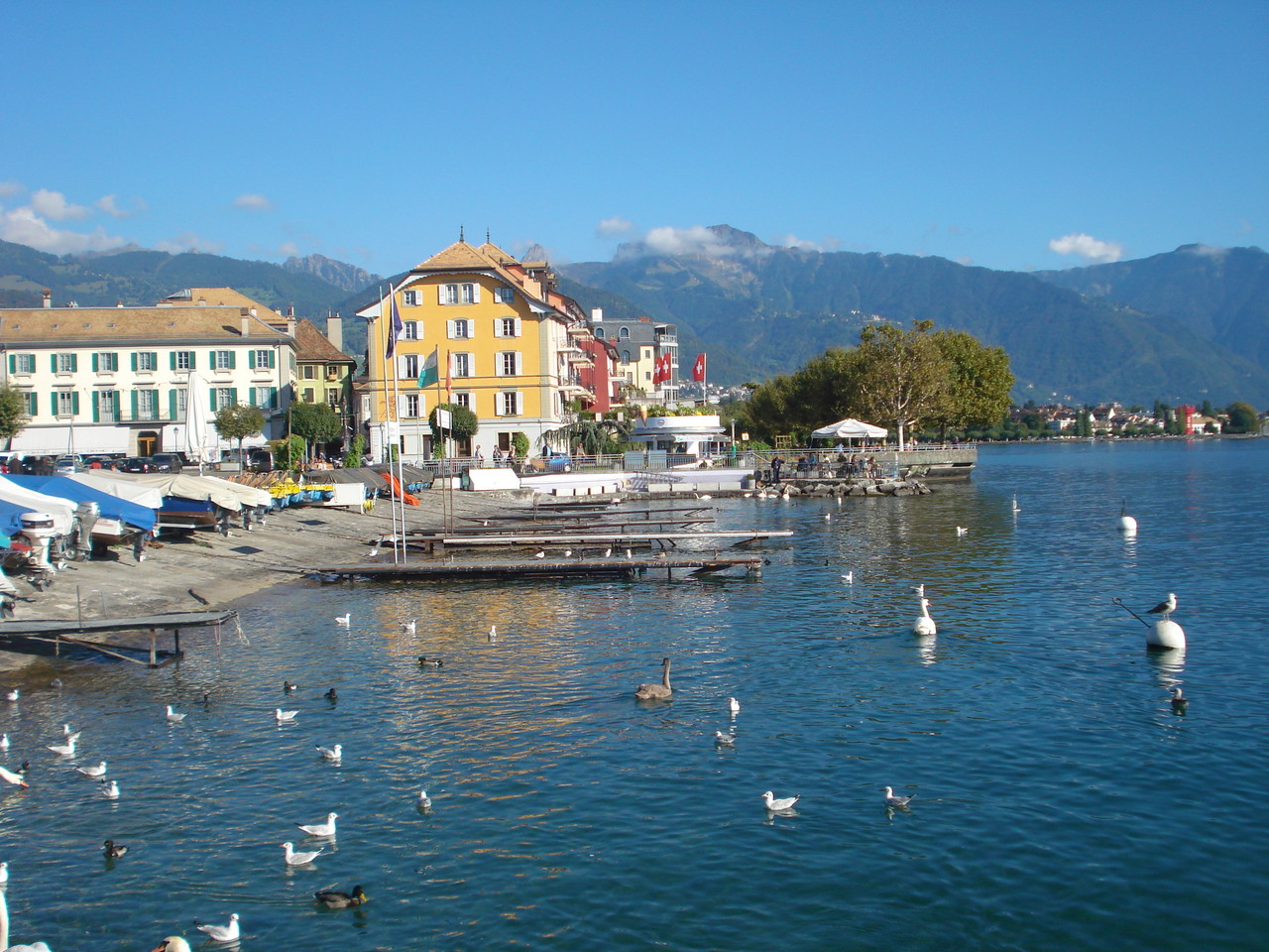 DSC09911.JPG DSC09911.JPG