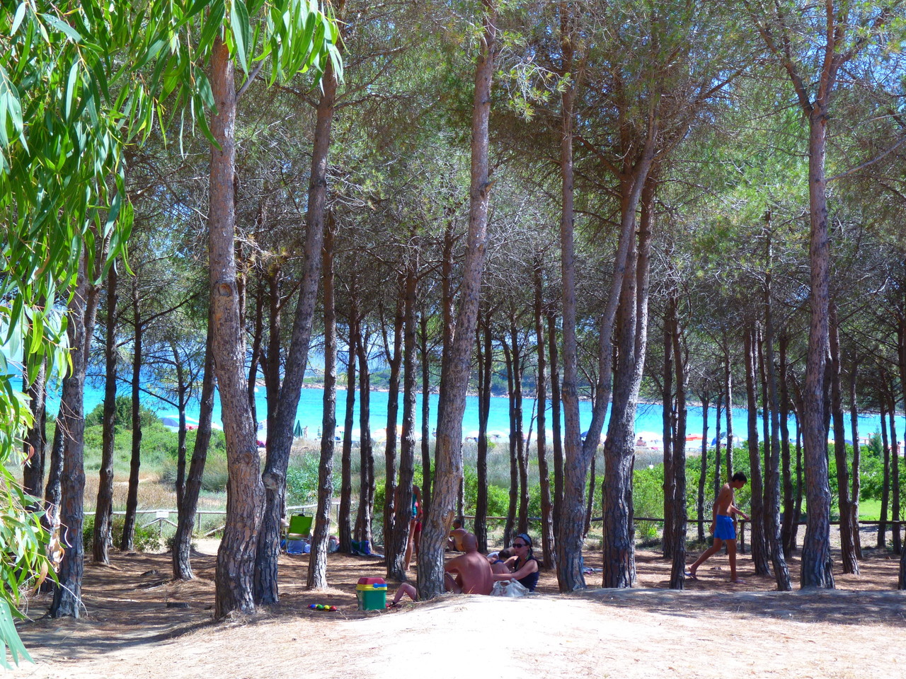 45 Cala Brandinchi.JPG