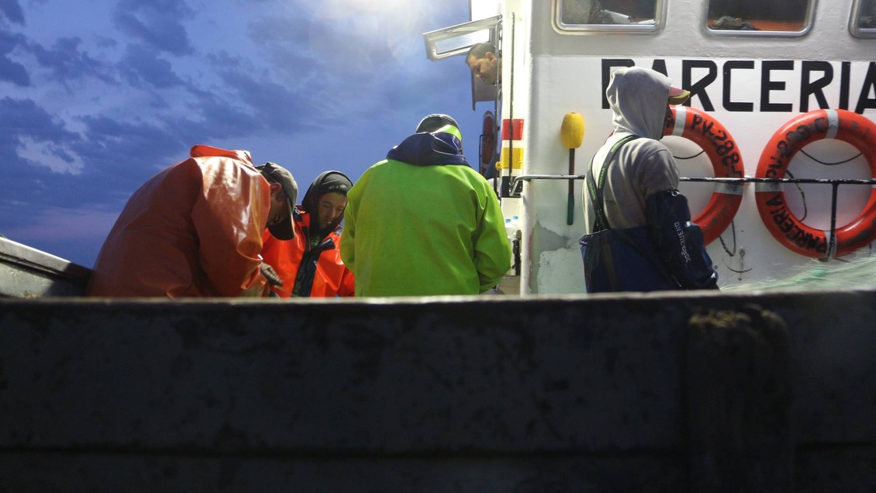Barco de pesca das Caxinas © Ricardo Bueno.jpg