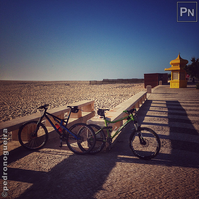 Out_2017_013a 650px.jpg