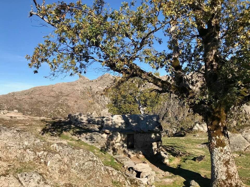 23722661_1939302269417520_4900578078028778052_n.jp