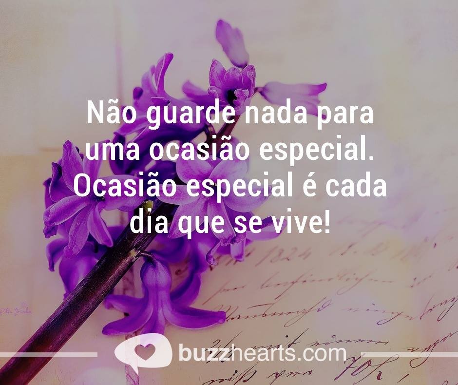 14907599_1203590273053316_1851497541630696000_n.jp