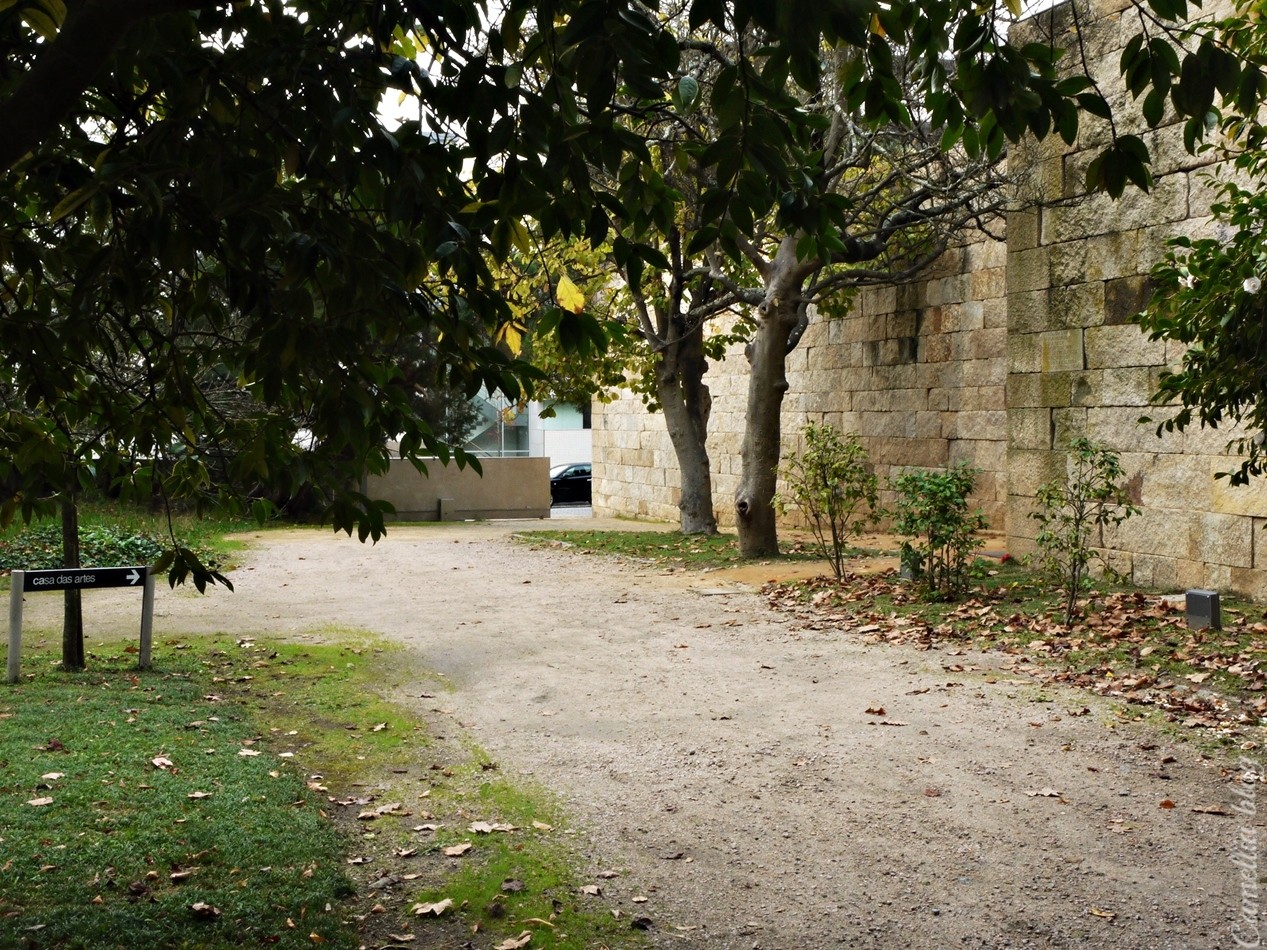 Casa das Artes Porto1 (2).JPG