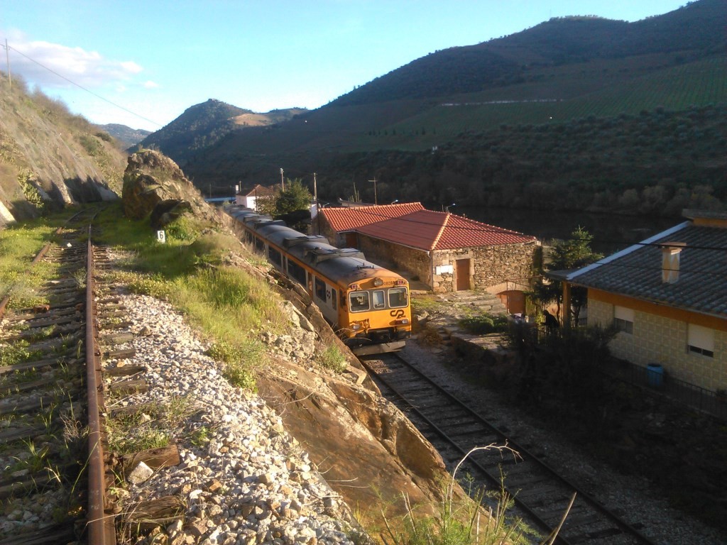 IMG_20141207_155007.jpg IMG_20141207_155007.jpg