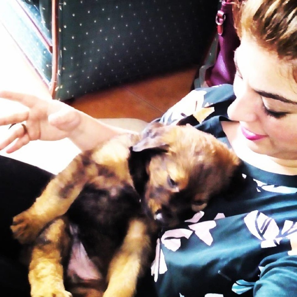 43059093_10155972180166538_8777343729024368640_o.j