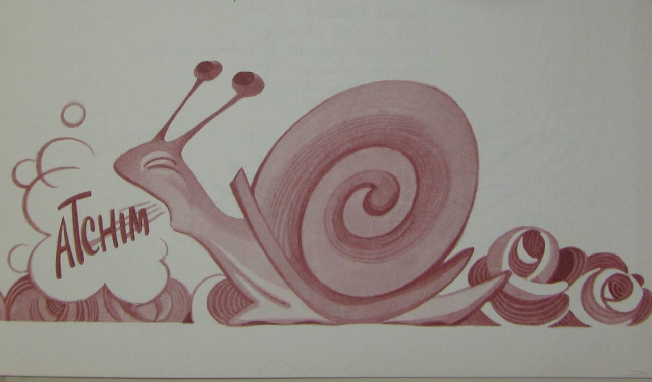 120611161_3358561774231698_5637347185969407364_n.j