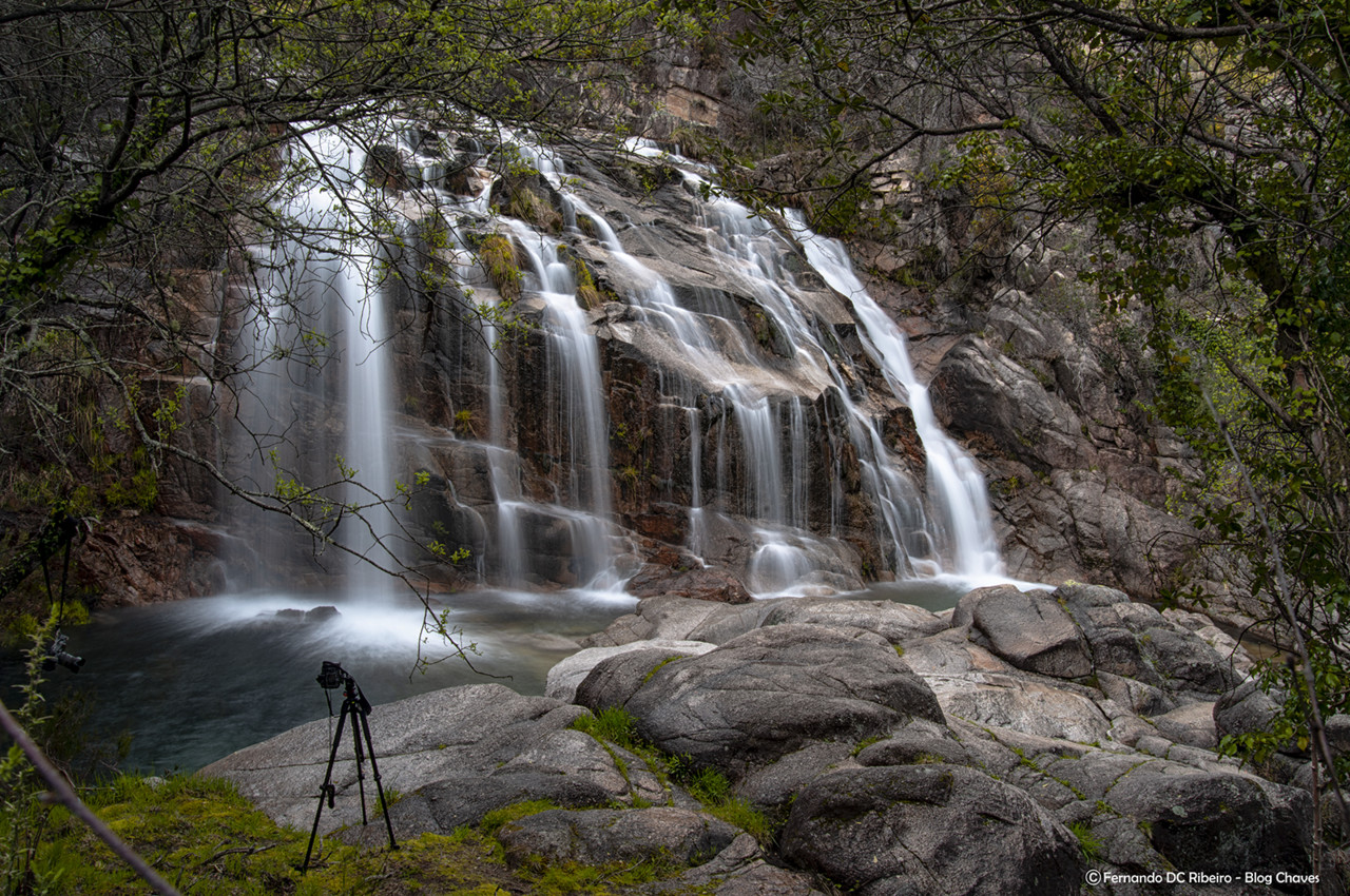 1600-cela (66)-video.jpg