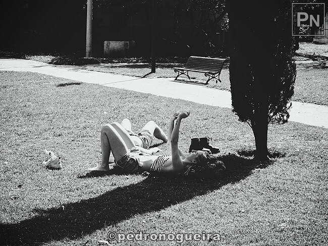 Mar_2023_030a 650px.jpg