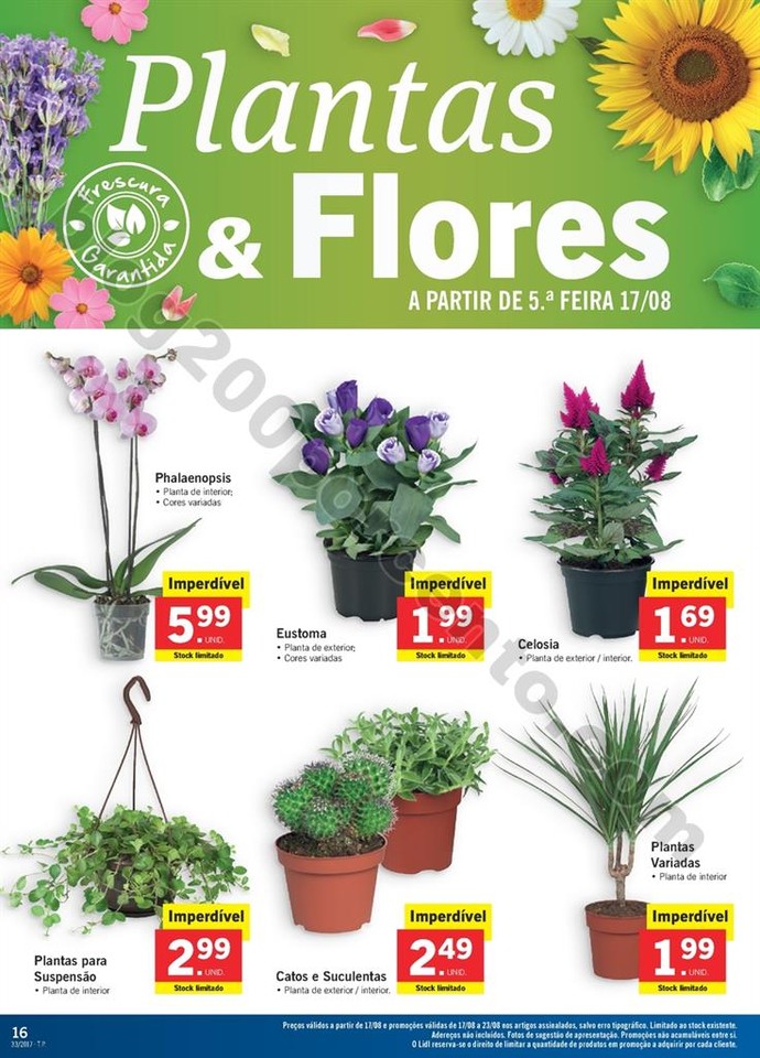 Promo_es_v_lidas_a_partir_de_17_08_2017_Mais_para_