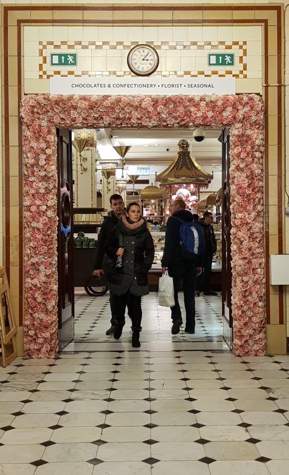 20180122_135259.jpg 20180122_135259.jpg