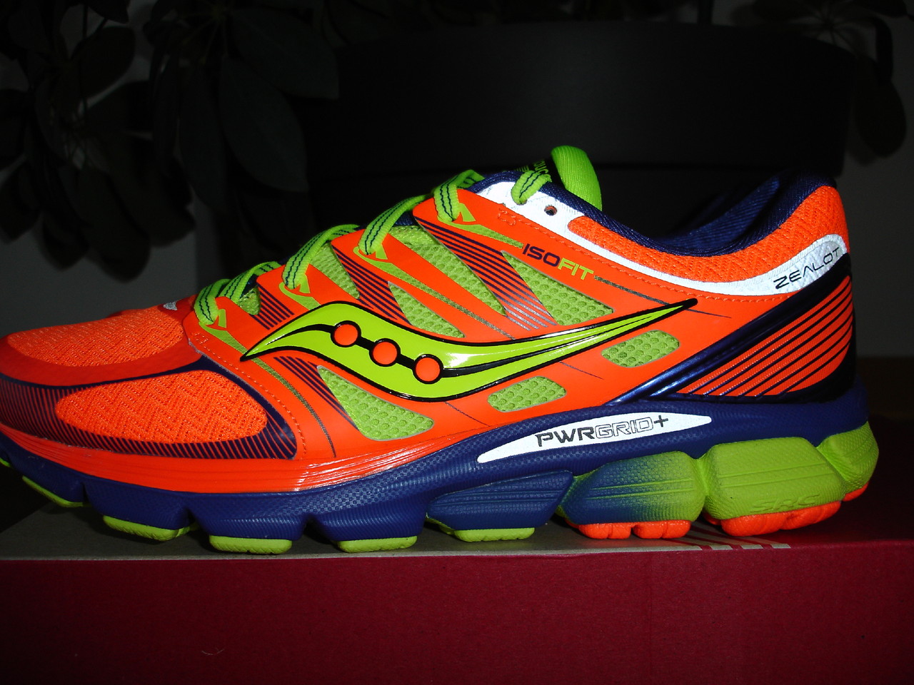 DSC00353.JPG DSC00353.JPG