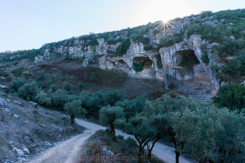 DSC05449.jpg DSC05449.jpg