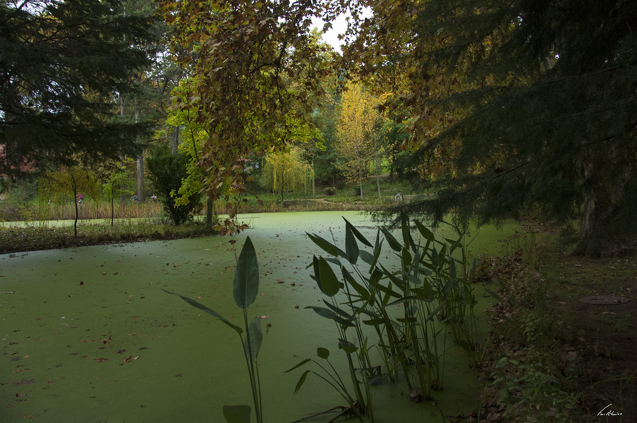 1600-vidago (2668)-1.jpg