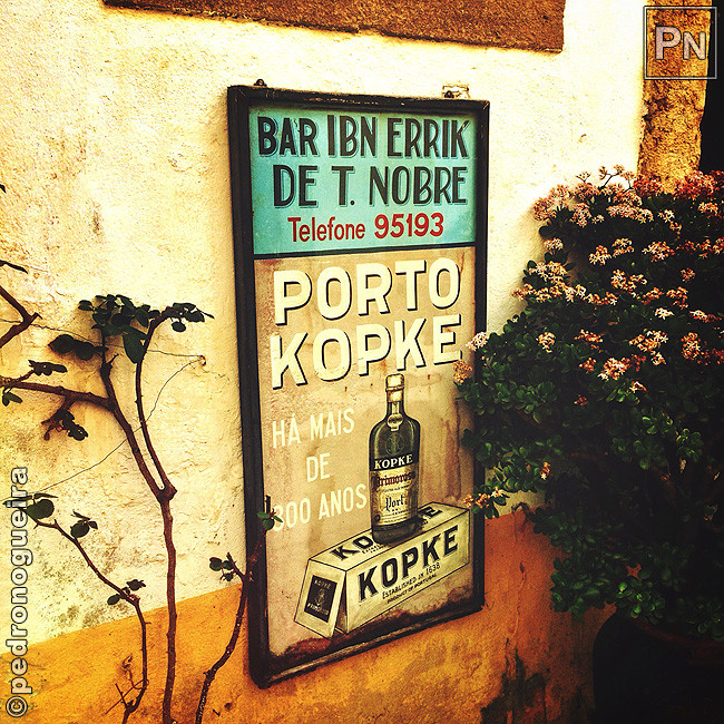 Fev_2017_029c 650px.jpg