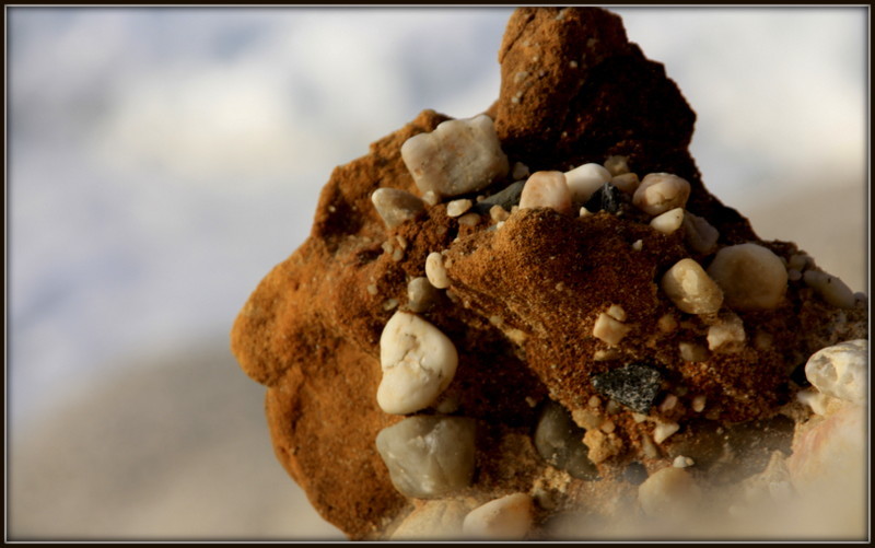 _MG_0617.JPG _MG_0617.JPG