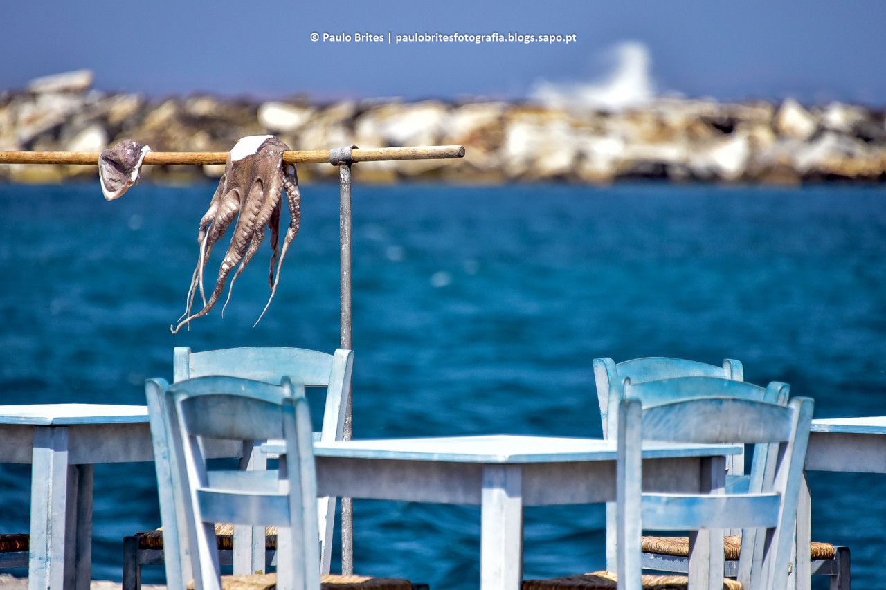 DSC_11330-1-2.jpg DSC_11330-1-2.jpg