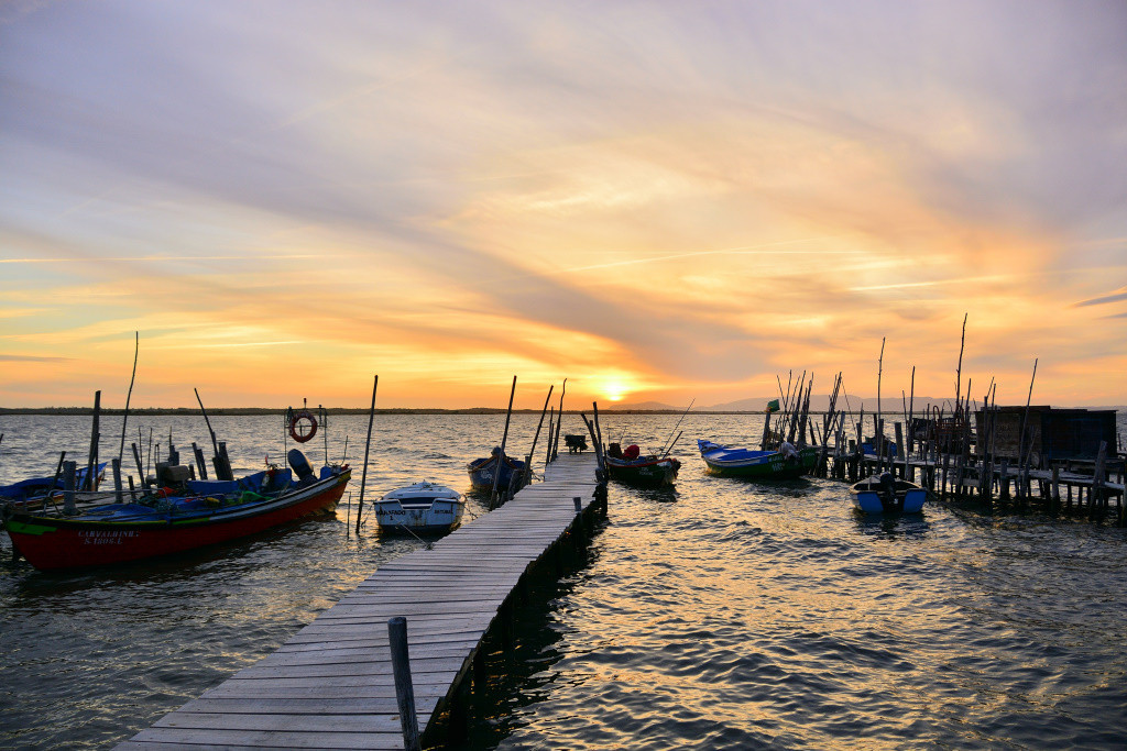 DSC_2984_01_00036.jpg DSC_2984_01_00036.jpg