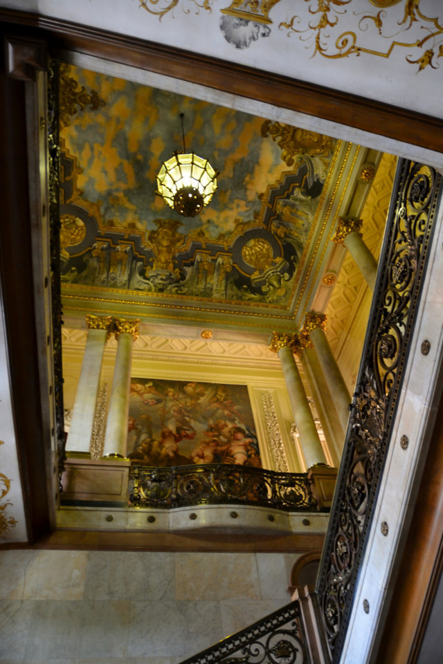 DSC_8785.jpg DSC_8785.jpg