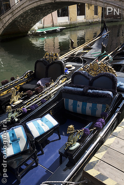 _MG_0952 650px.jpg _MG_0952 650px.jpg