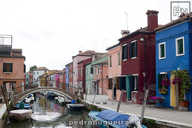 _MG_1174 650px.jpg _MG_1174 650px.jpg