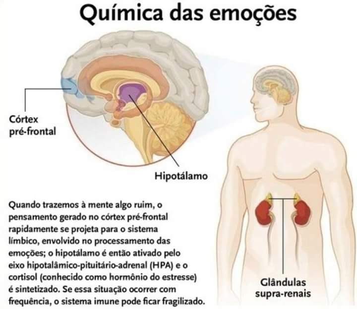 12003269_1648522082028848_1593008163570333404_n.jp 12003269_1648522082028848_1593008163570333404_n.jp