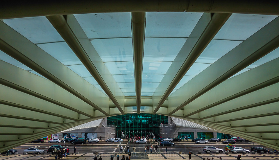 DSC_0204.jpg DSC_0204.jpg