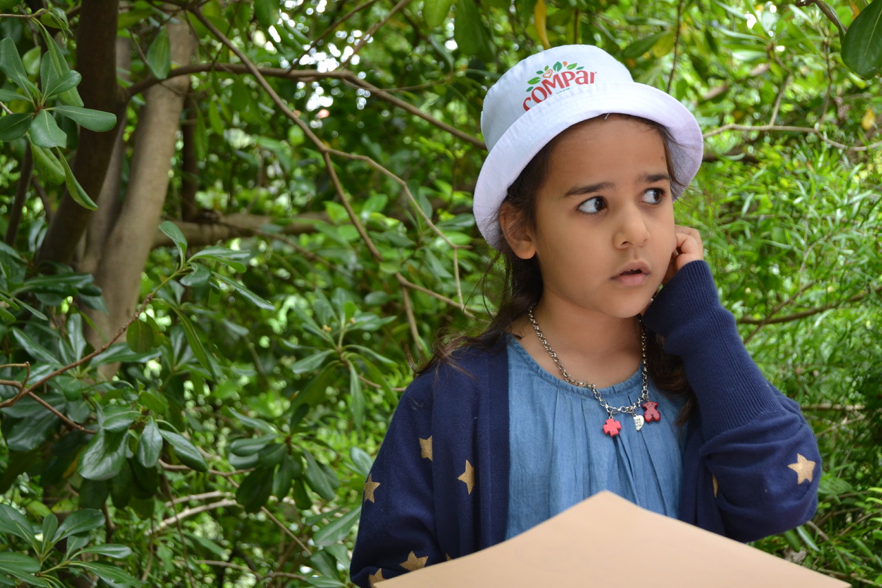 DSC_0965.JPG DSC_0965.JPG