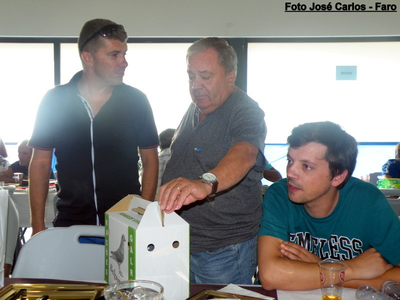 Leilão Serpa 2017 082.JPG