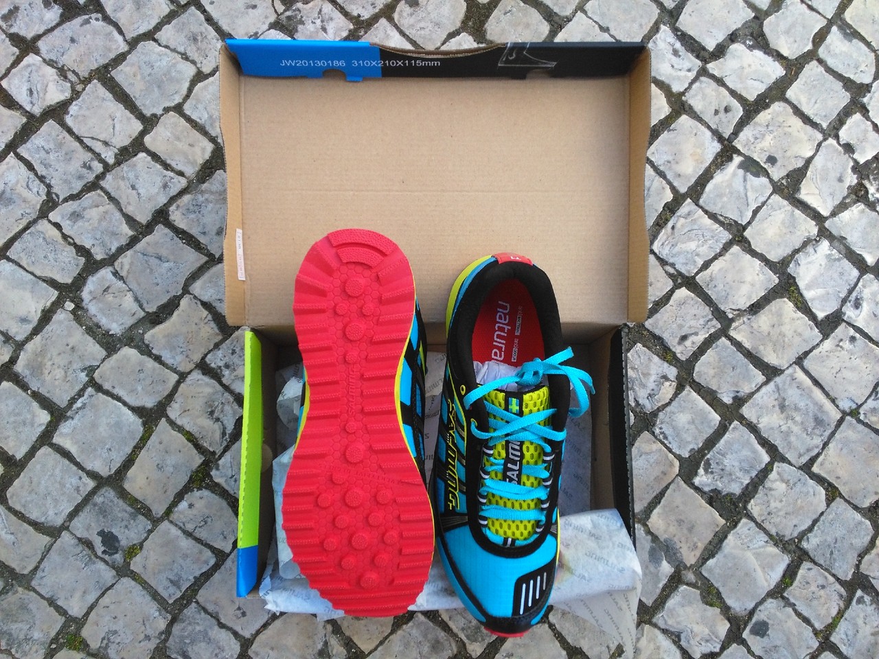 IMG_20150401_152101.jpg IMG_20150401_152101.jpg