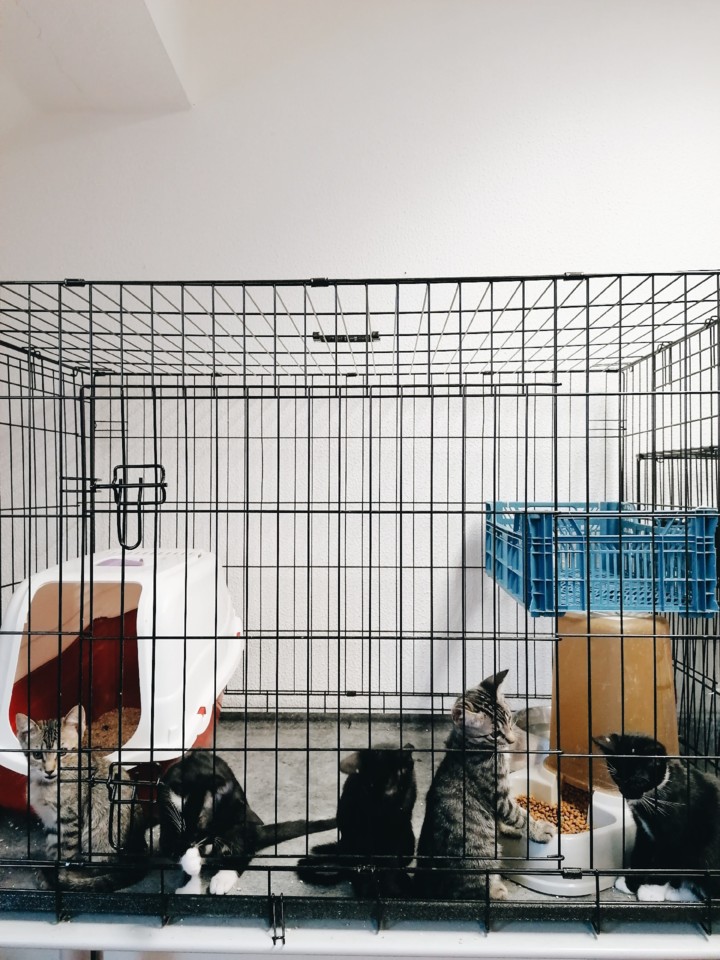 2019-08-20 10.07.44 1.jpg 2019-08-20 10.07.44 1.jpg