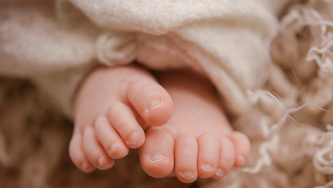 20918881_9ZZcT.png 20918881_9ZZcT.png