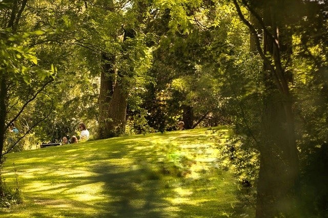 px-downloadgda840efc30c51db569e6a55ae60825cd5644d1