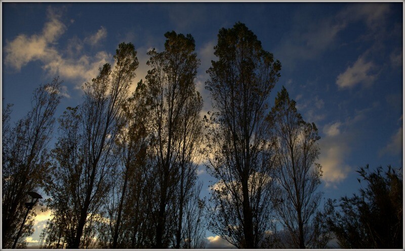 IMG_8122.CR2azul e seco.jpg