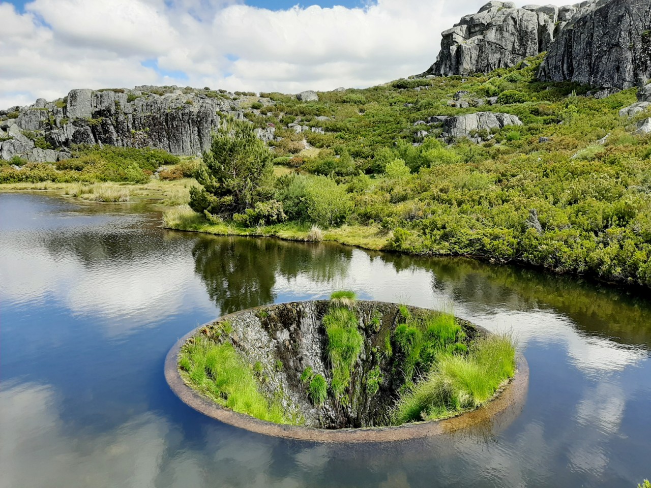 20200628_154538.jpg 20200628_154538.jpg