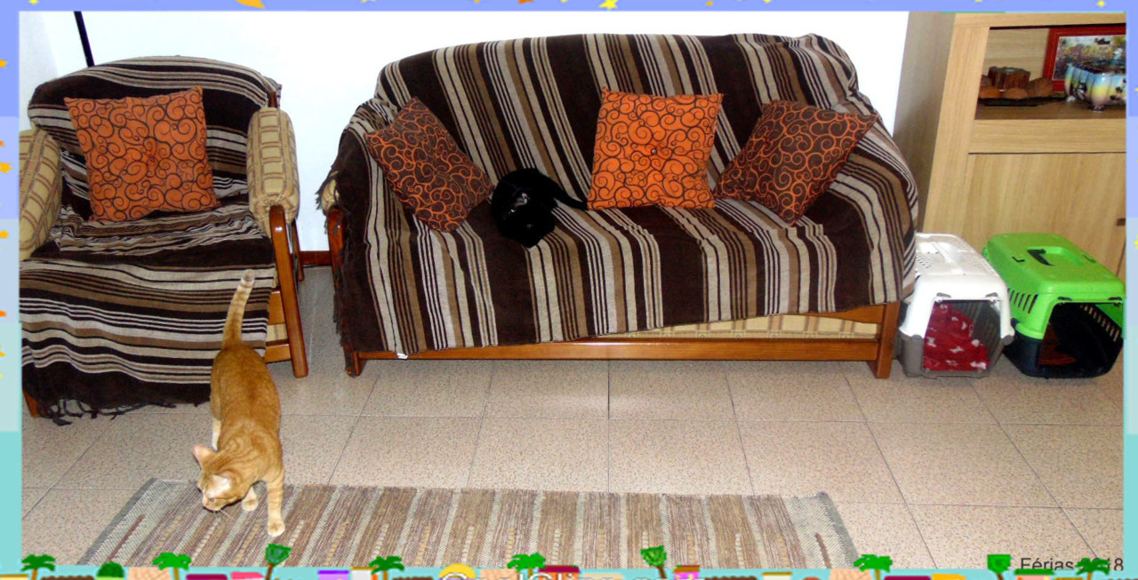 casinha2018.jpg casinha2018.jpg