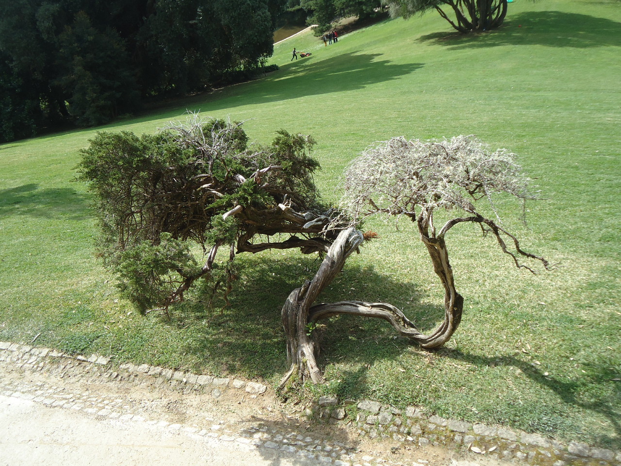 DSC07680.JPG DSC07680.JPG