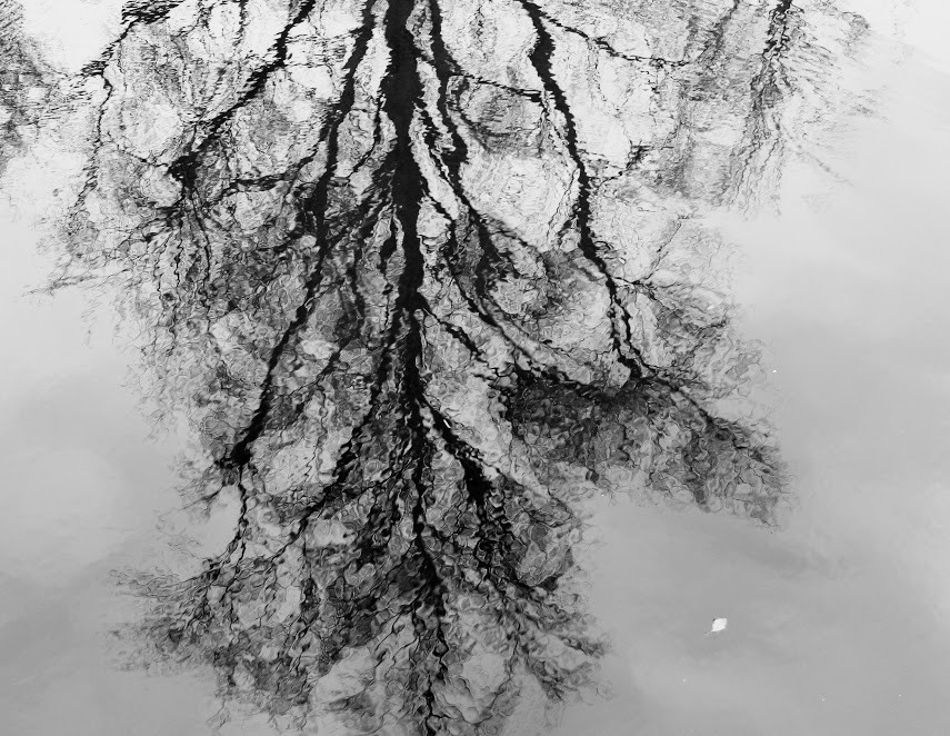 _MG_9753a.jpg _MG_9753a.jpg