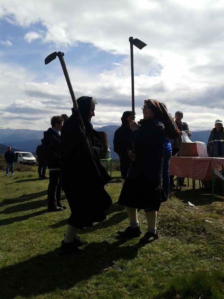 Plantacao500Arvores_8