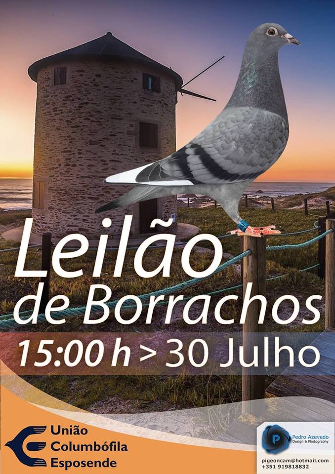 Leilão Esposende.jpg