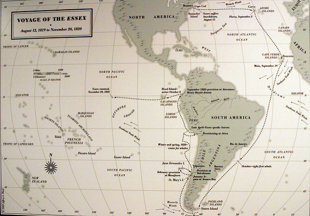 20603919_76f2f71820_z.jpg 20603919_76f2f71820_z.jpg