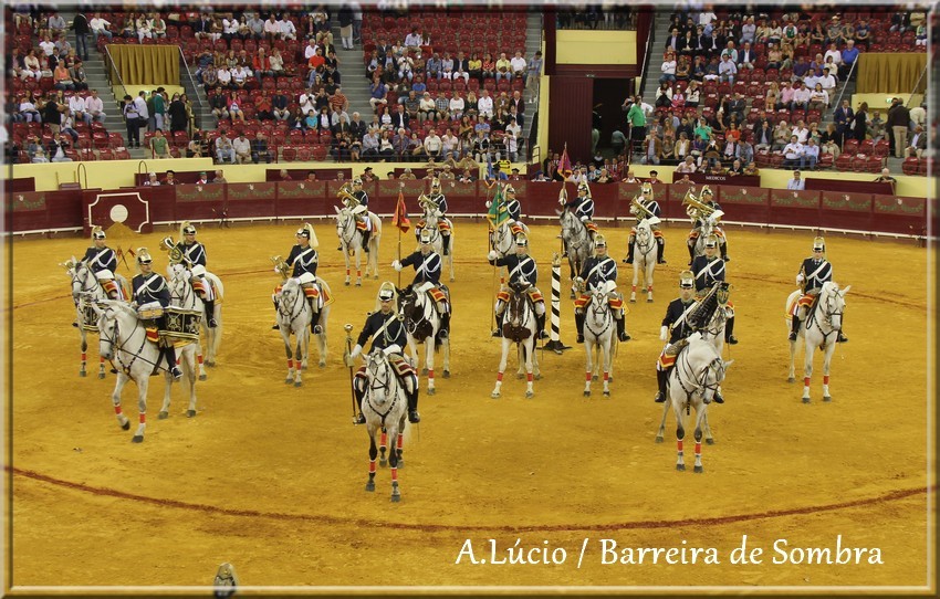 IMG_6550.JPG IMG_6550.JPG