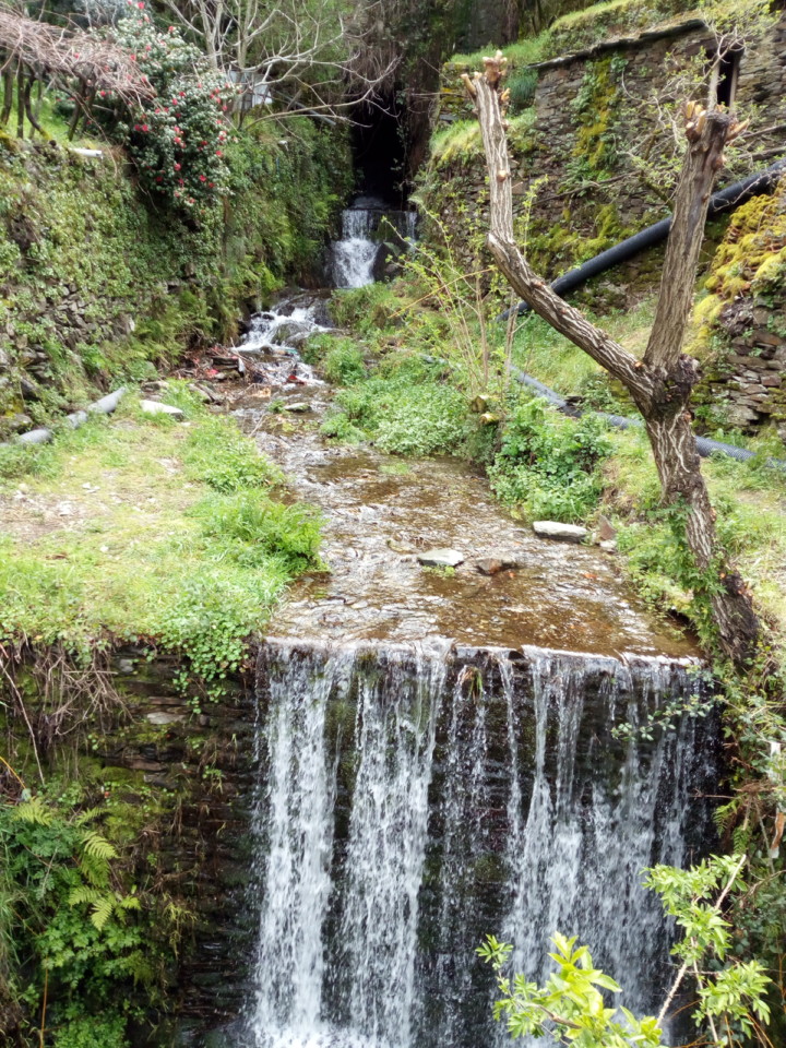 IMG_20180331_120546.jpg IMG_20180331_120546.jpg