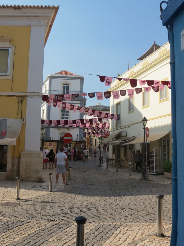 IMG_3422 - Cópia.JPG